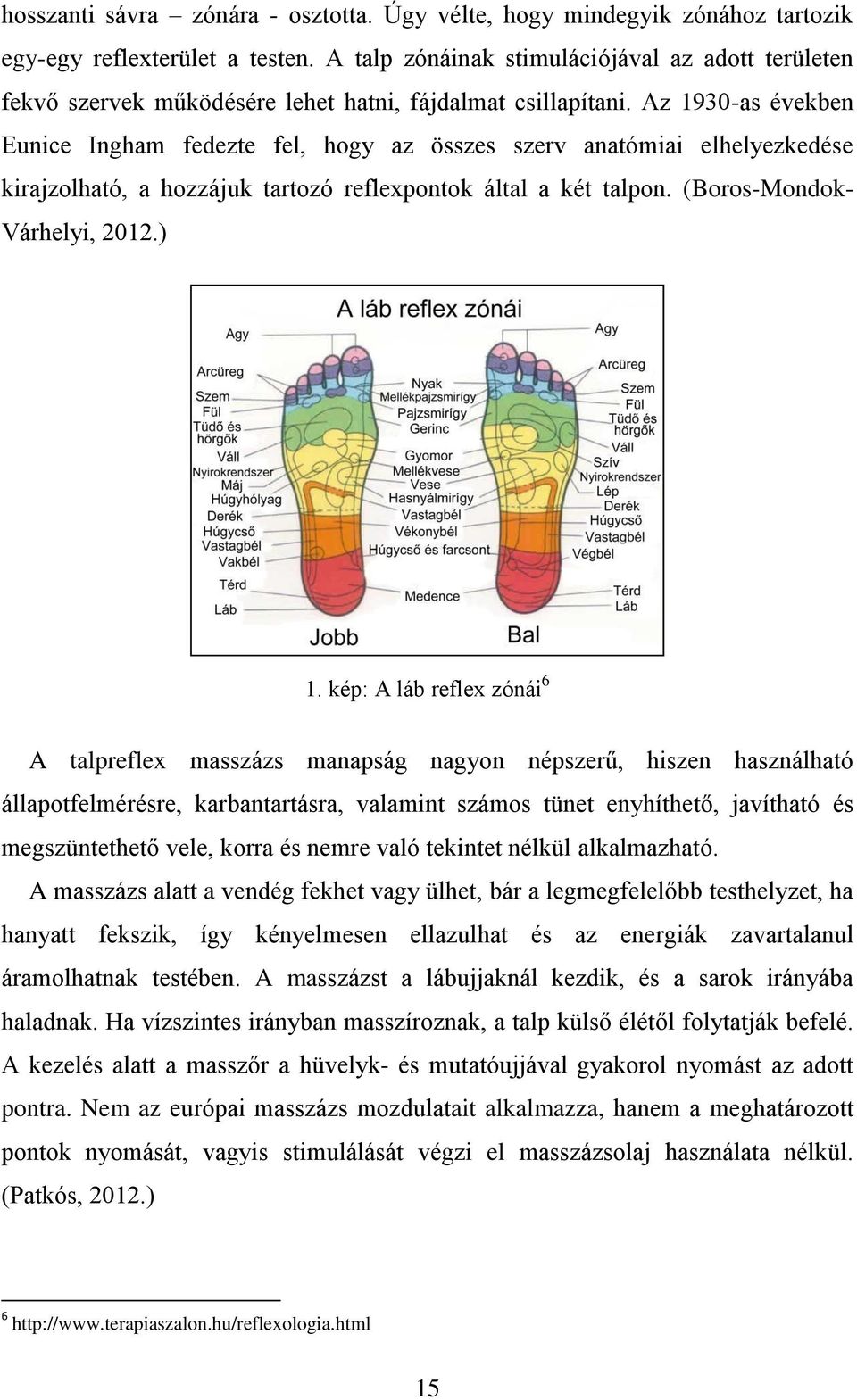 Az 1930-as években Eunice Ingham fedezte fel, hogy az összes szerv anatómiai elhelyezkedése kirajzolható, a hozzájuk tartozó reflexpontok által a két talpon. (Boros-Mondok- Várhelyi, 2012.) 1.