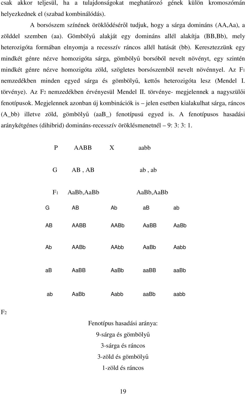 Gömbölyű alakját egy domináns allél alakítja (BB,Bb), mely heterozigóta formában elnyomja a recesszív ráncos allél hatását (bb).