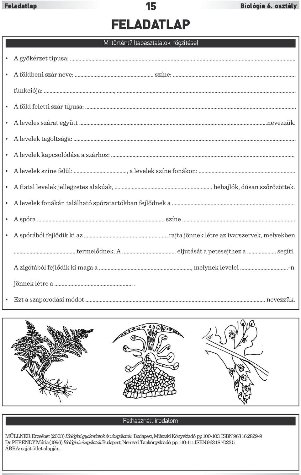 .... behajlók, dúsan szőrözöttek. A levelek fonákán található spóratartókban fejlődnek a... A spóra., színe... A spórából fejlődik ki az....., rajta jönnek létre az ivarszervek, melyekben.