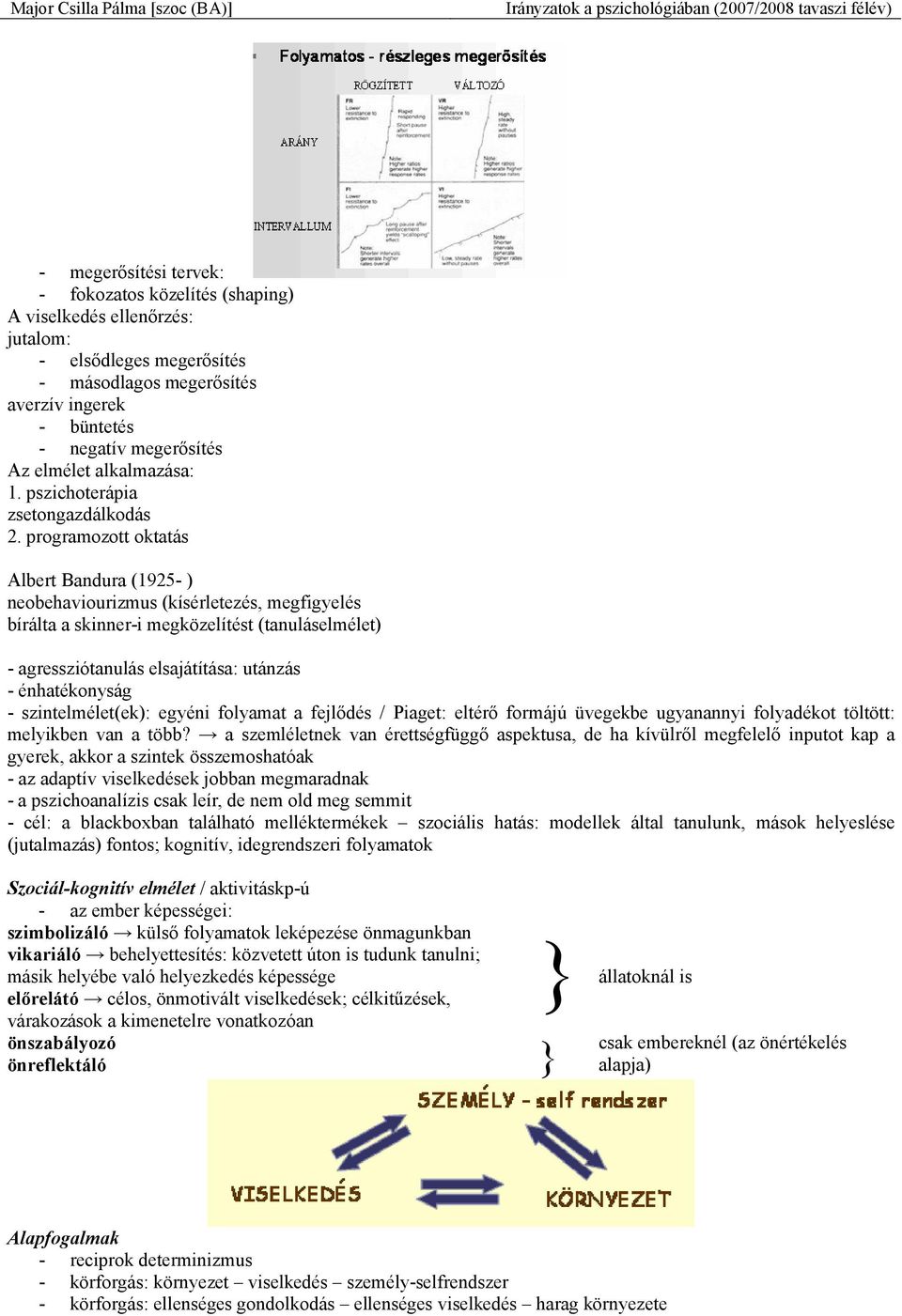 programozott oktatás Albert Bandura (1925- ) neobehaviourizmus (kísérletezés, megfigyelés bírálta a skinner-i megközelítést (tanuláselmélet) - agressziótanulás elsajátítása: utánzás - énhatékonyság -