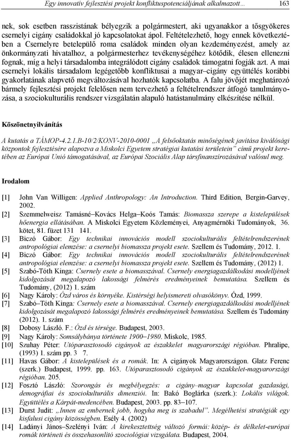 Feltételezhető, hogy ennek következtében a Csernelyre betelepülő roma családok minden olyan kezdeményezést, amely az önkormányzati hivatalhoz, a polgármesterhez tevékenységéhez kötődik, élesen