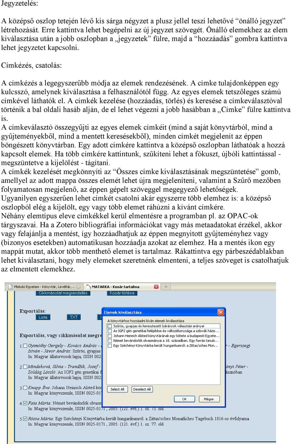 Címkézés, csatolás: A címkézés a legegyszerűbb módja az elemek rendezésének. A címke tulajdonképpen egy kulcsszó, amelynek kiválasztása a felhasználótól függ.