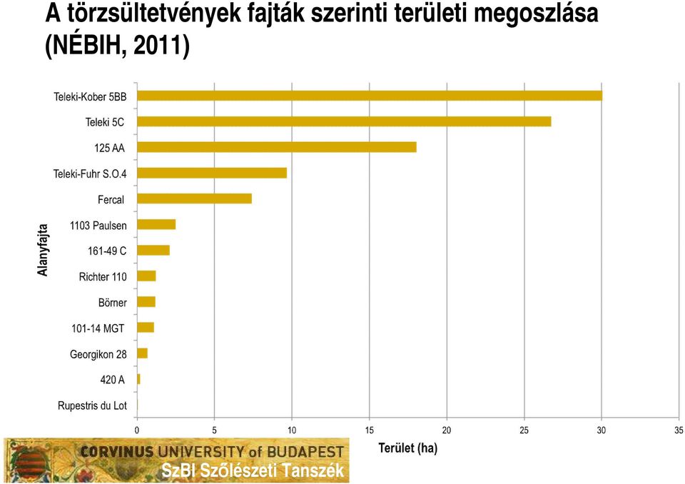 fajták szerinti