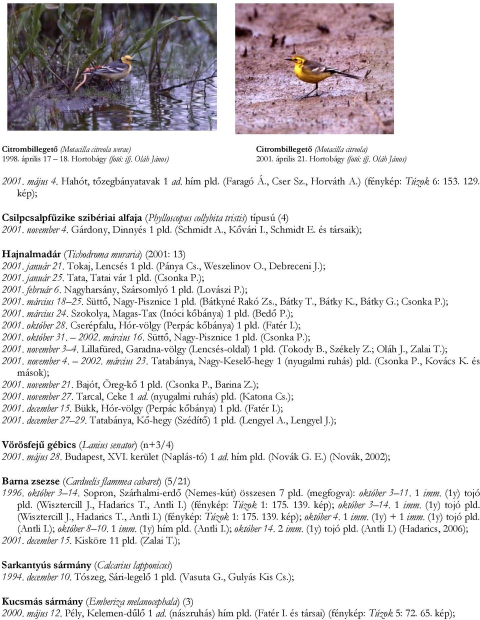 november 4. Gárdony, Dinnyés 1 pld. (Schmidt A., Kővári I., Schmidt E. és társaik); Hajnalmadár (Tichodroma muraria) (2001: 13) 2001. január 21. Tokaj, Lencsés 1 pld. (Pánya Cs., Weszelinov O.