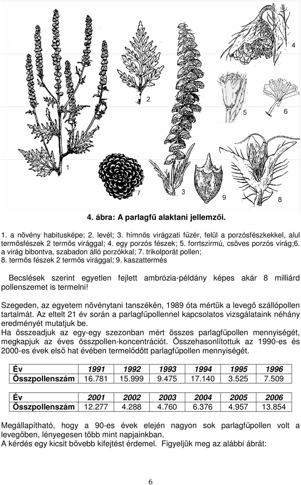 kaszattermés Becslések szerint egyetlen fejlett ambrózia-példány képes akár 8 milliárd pollenszemet is termelni!