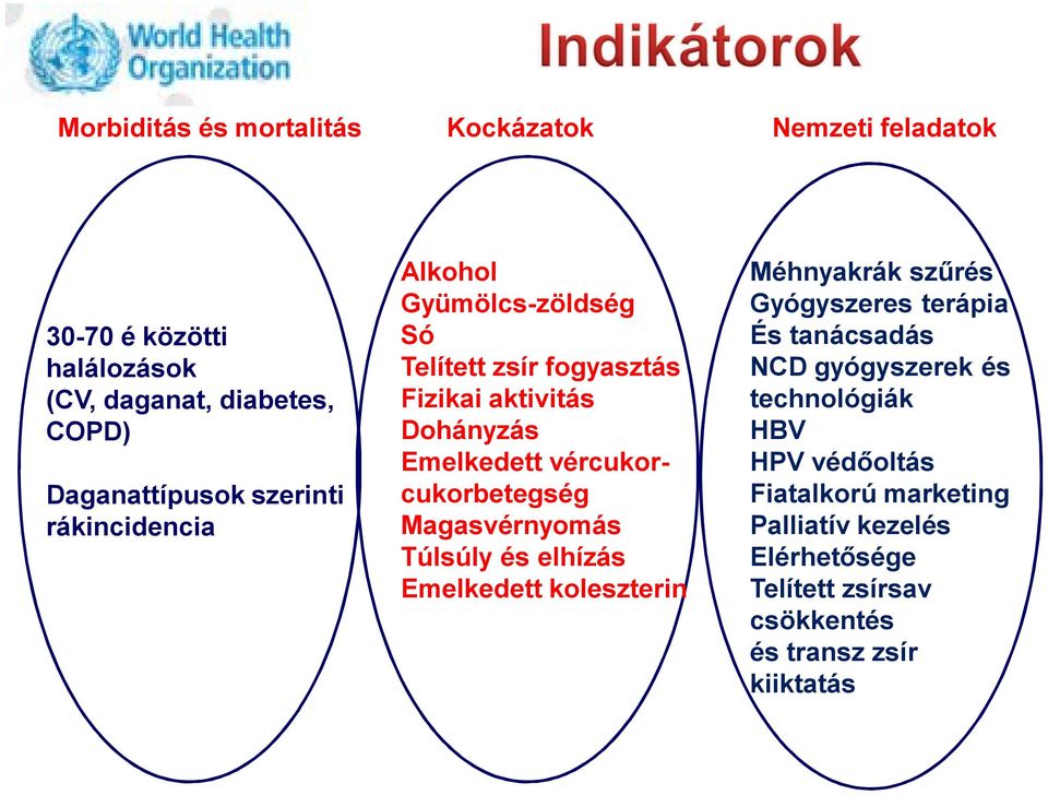 vércukorcukorbetegség Magasvérnyomás Túlsúly és elhízás Emelkedett koleszterin Méhnyakrák szűrés Gyógyszeres terápia És tanácsadás