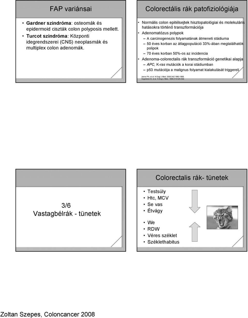 50 éves korban az átlagpopuláció 33%-ában megtalálhatók polipok 70 éves korban 50%-os az incidencia Adenoma-colorectalis rák transzformáció genetikai alapja APC, K-ras mutációk a korai stádiumban p53