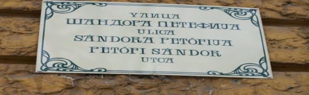 Az eddigi tapasztalatok szerint az ország magyar anyanyelvű hallgatóinak a szerb nyelvű oktatás főként kezdeti nehézségeket okozott, de ezeket sikerül leküzdeniük.