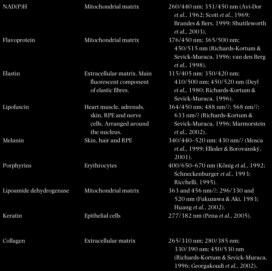 Autofluoreszcencia a két-foton mikroszkópiában Endogén chromofór Lokalizáció Abs/Emm NAD(P)H, FAD, FMN In