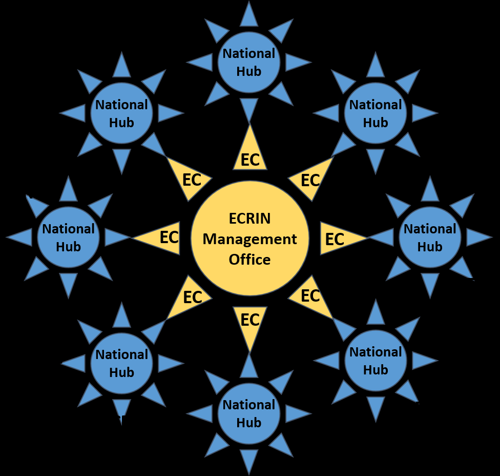 EuCo szerepe Egyetlen kapcsolódási pont: a nemzeti klinikai kutatási hálózat, az ECRIN core team és a tagországok között.