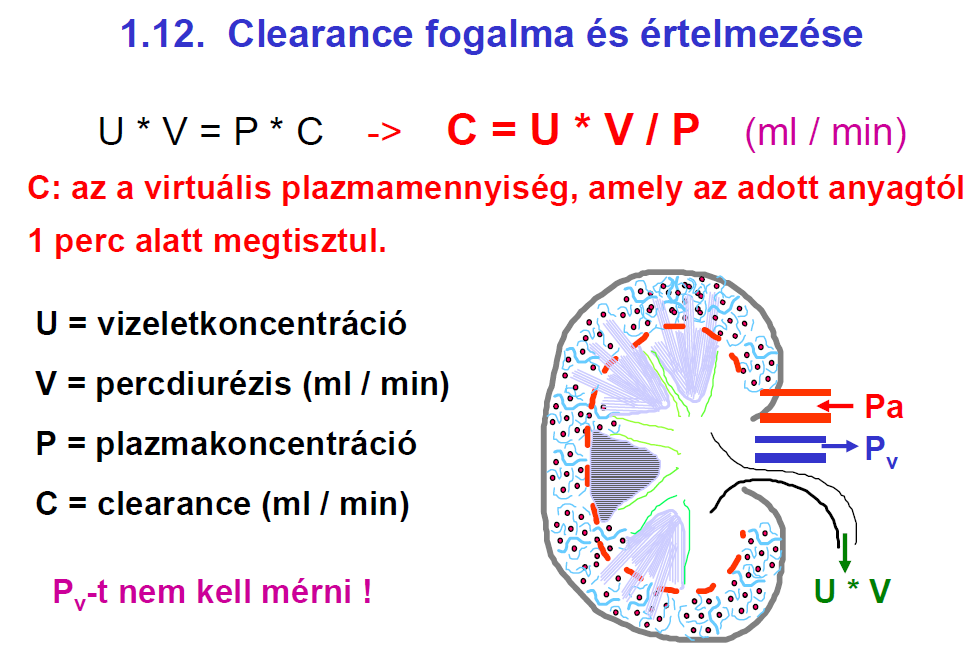 A kiválasztó mőködés értelme II.