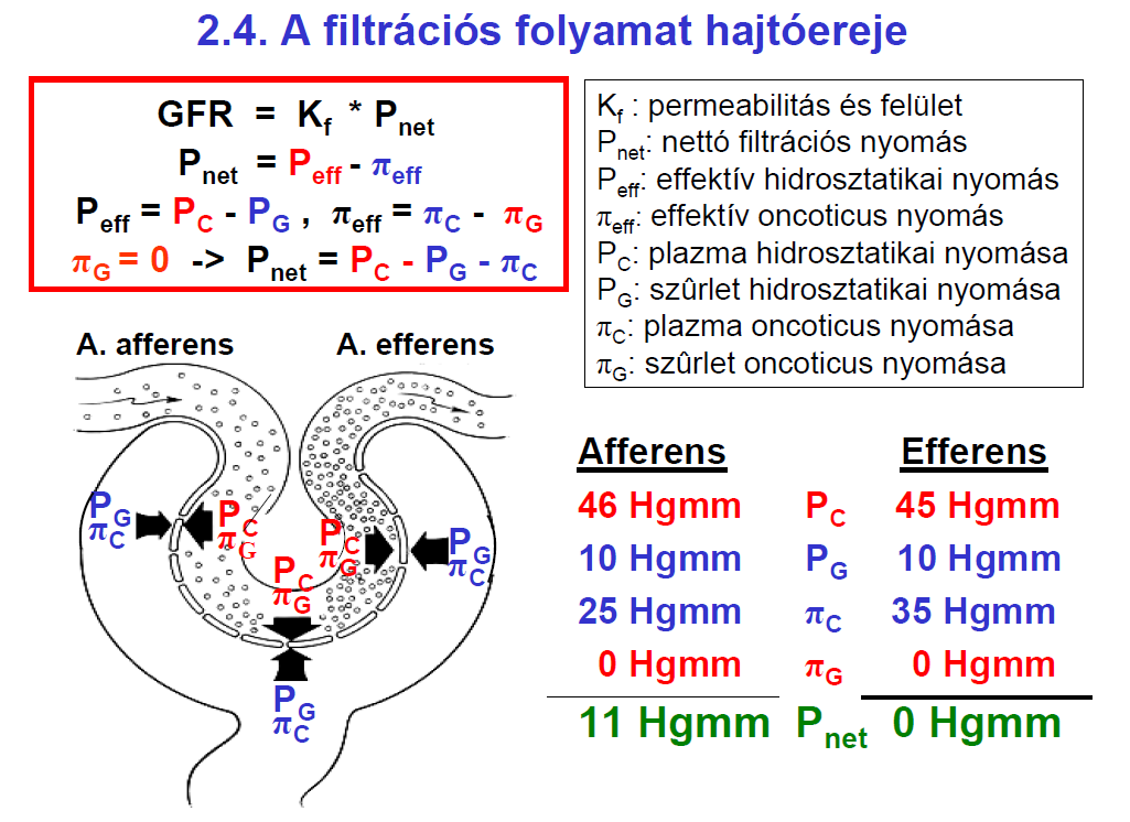 Értem én, hogy gızgép! De mi az, ami hajtja?