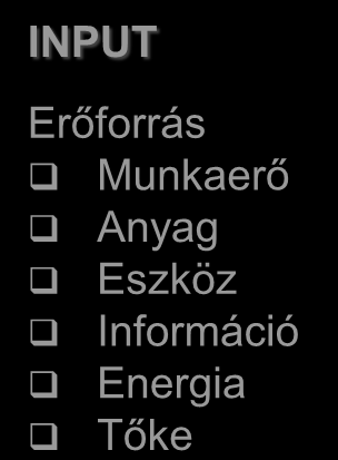 = Output Input INPUT FELDOLGOZÁS OUTPUT Erőforrás Munkaerő Anyag Eszköz Információ Energia