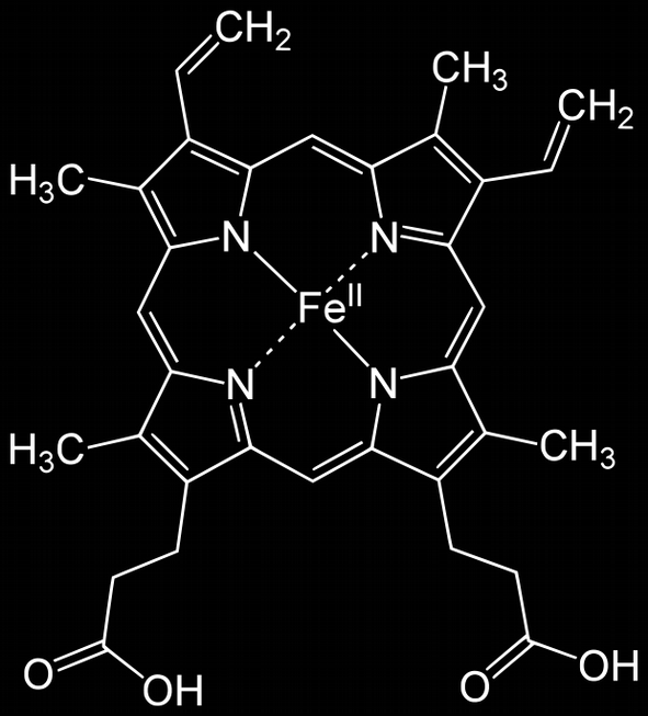 A hemoglobin négy alegységből áll, több variánsa is van.