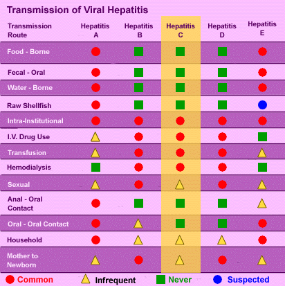 Vírushepatitisek átvitele A HCV indirekt vér útján is jól terjed, ezért sokkal fertőzőbb, mint a HIV Tetoválás