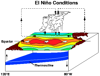 Ausztrália Dél-Amerika forrás: www.pmel.noaa.gov/tao/elnino/nino-normal.