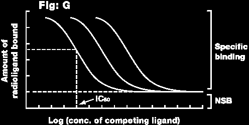 Molekuláris biológiai módszerek Receptorkötési teszt Szaturációs görbe T: összes kötés NSB: nem specifikus kötés, nem-szaturál SB: specifikus kötés, ami B max -nál szaturál Ha