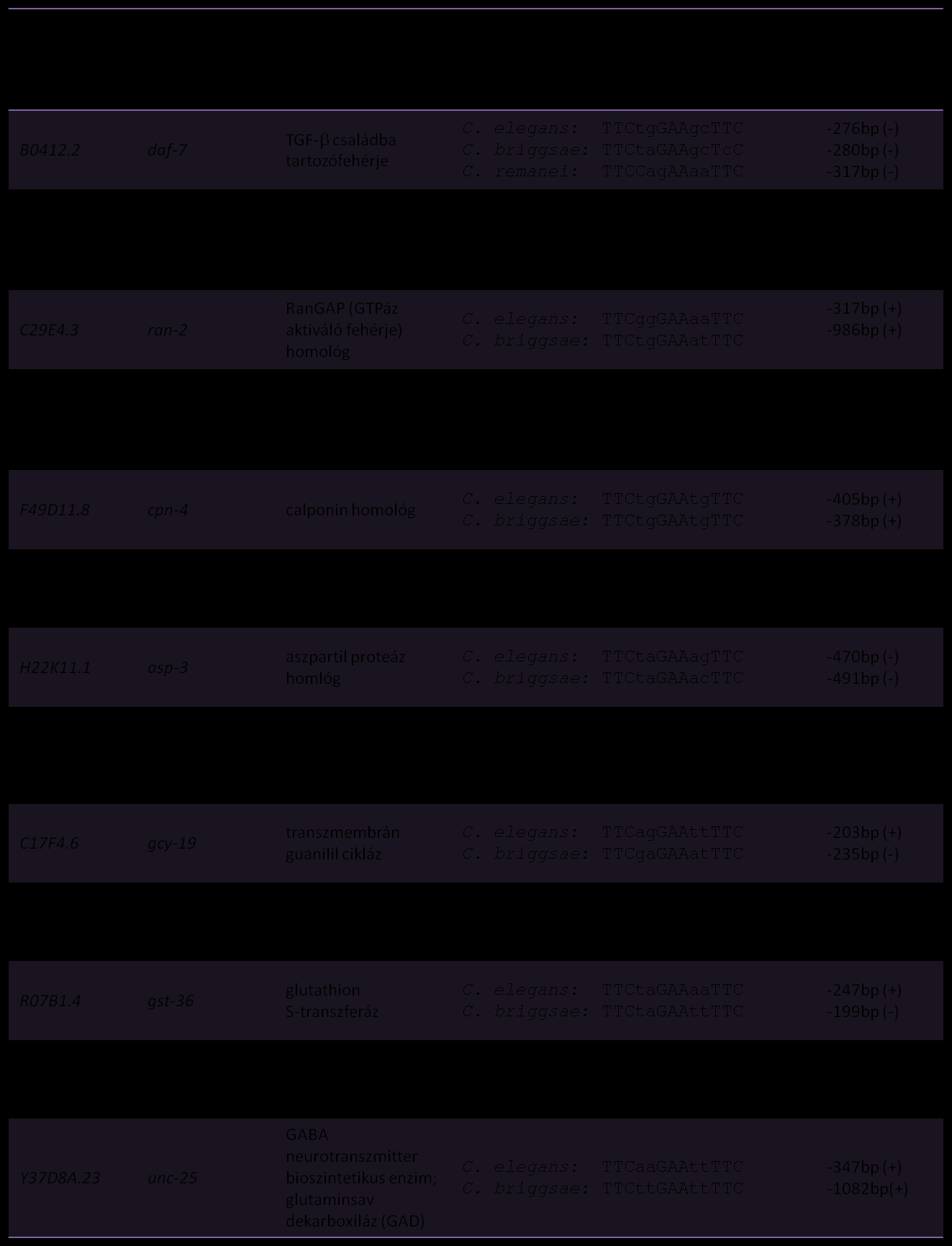 2. táblázat: A konzervált HSF-1 kötőhelyet tartalmazó C.