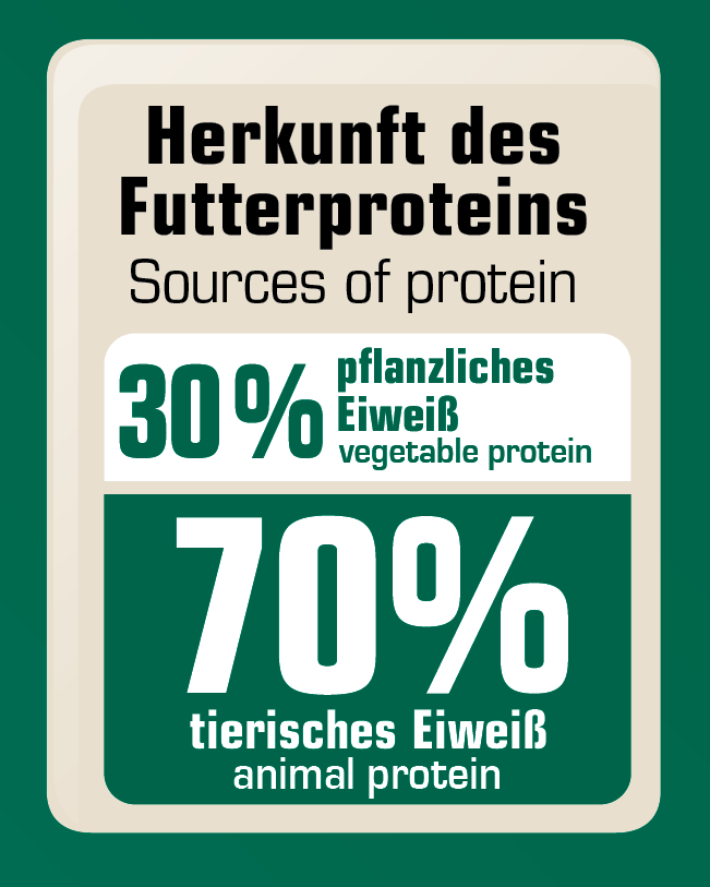 Basic Menu Normál aktivitású kifejlett kutyák részére Fehérje: 24,0% Zsírtartalom: 10,0% Nyersrost: 2,5% Nyershamu: 7,0% Elemzés: Kálcium: 1,4% Foszfor: 1,0% Nátrium: