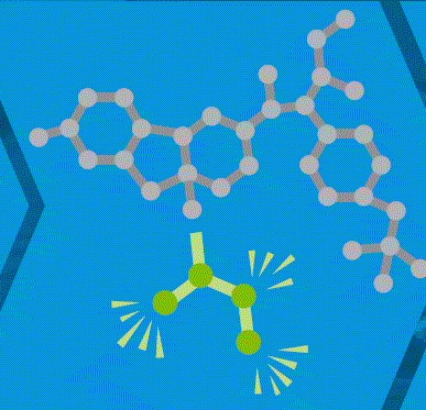 Indoxakarb Metabolikus aktiválás 1. fázis 2. fázis 3. fázis 4.