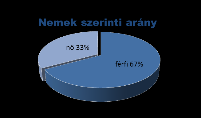 Szervezeti struktúra Állományi engedélyezett és betöltött létszám jelenleg 197 fő. Problémák: Létszámhiány: 15 fő őr, sziv.