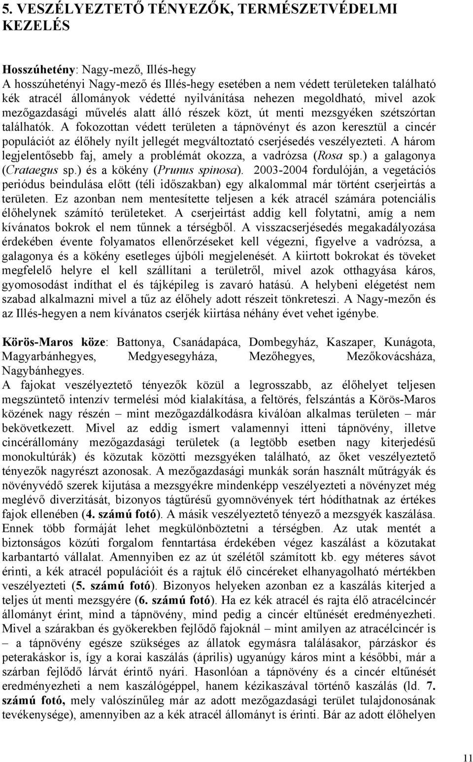 A fokozottan védett területen a tápnövényt és azon keresztül a cincér populációt az élőhely nyílt jellegét megváltoztató cserjésedés veszélyezteti.