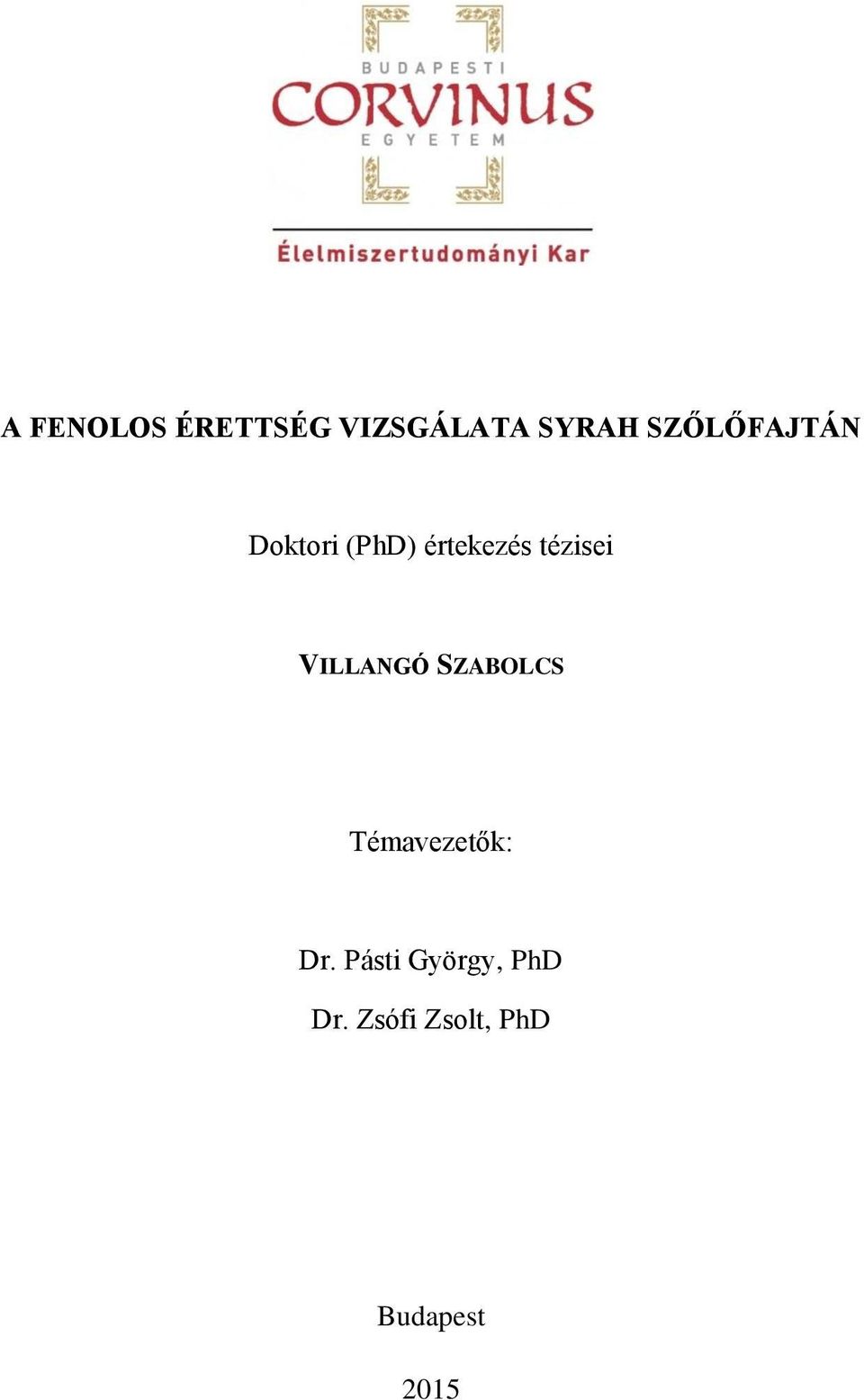 tézisei VILLANGÓ SZABOLCS Témavezetők: Dr.