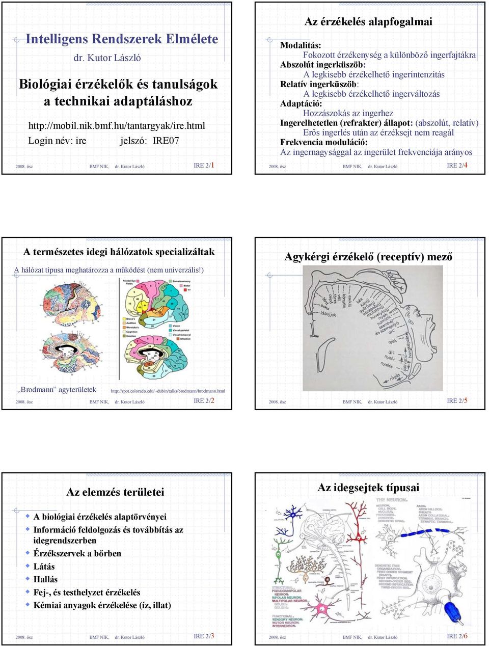 ingerküszöb: A legkisebb érzékelhető ingerváltozás Adaptáció: Hozzászokás az ingerhez Ingerelhetetlen (refrakter) állapot: (abszolút, relatív) Erős ingerlés után az érzéksejt nem reagál Frekvencia