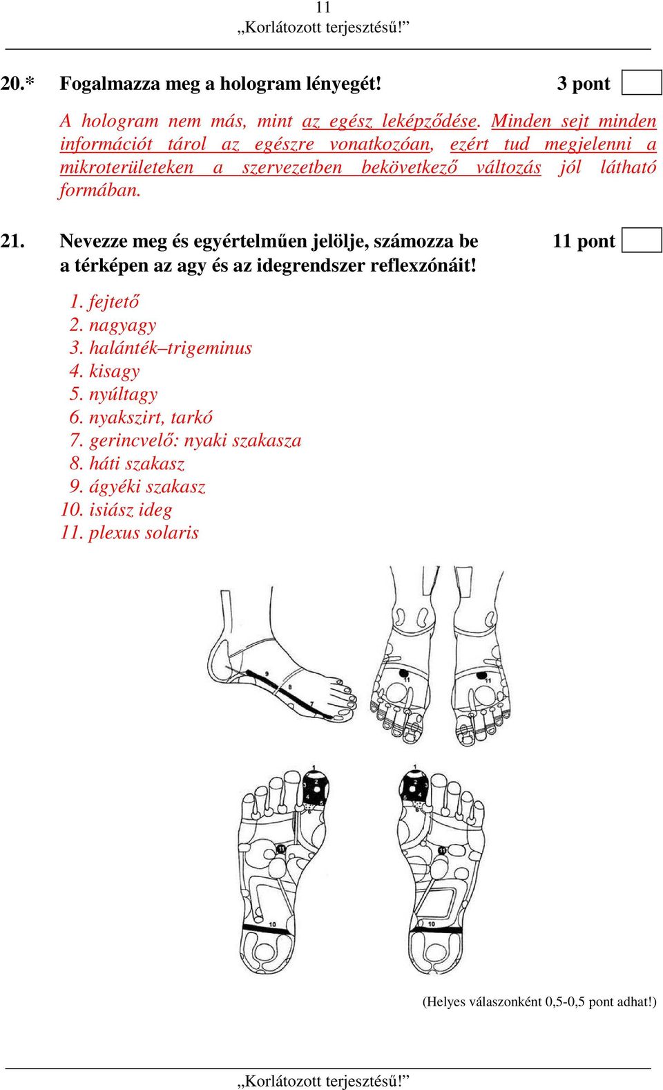 formában. 21. Nevezze meg és egyértelműen jelölje, számozza be 11 pont a térképen az agy és az idegrendszer reflexzónáit! 1. fejtető 2. nagyagy 3.