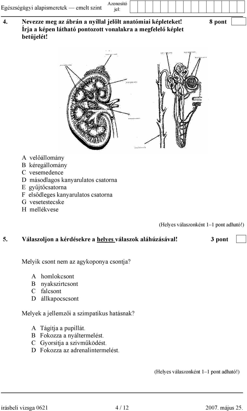 Válaszoljon a kérdésekre a helyes válaszok aláhúzásával! 3 pont Melyik csont nem az agykoponya csontja?