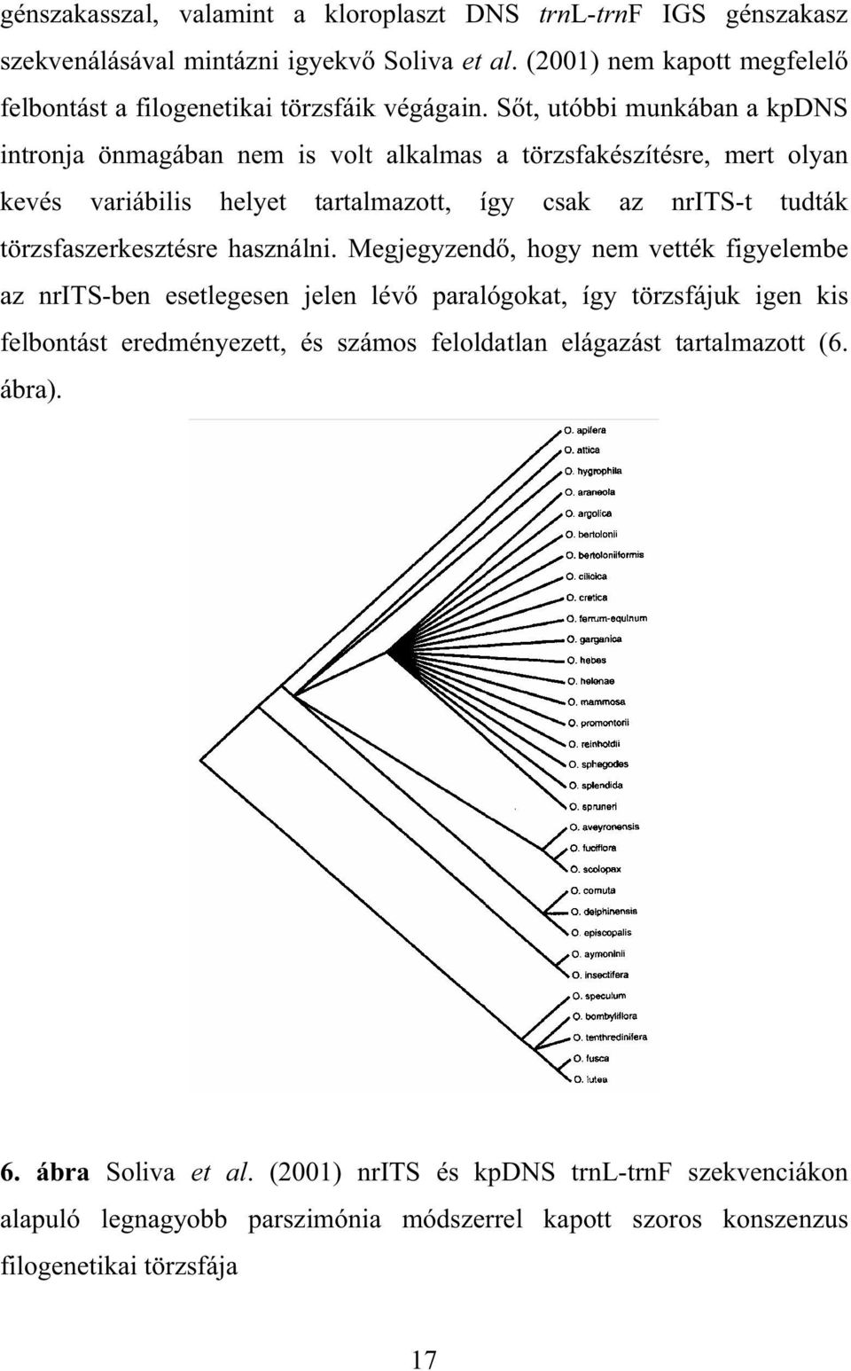 S t, utóbbi munkában a kpdns intronja önmagában nem is volt alkalmas a törzsfakészítésre, mert olyan kevés variábilis helyet tartalmazott, így csak az nrits-t tudták