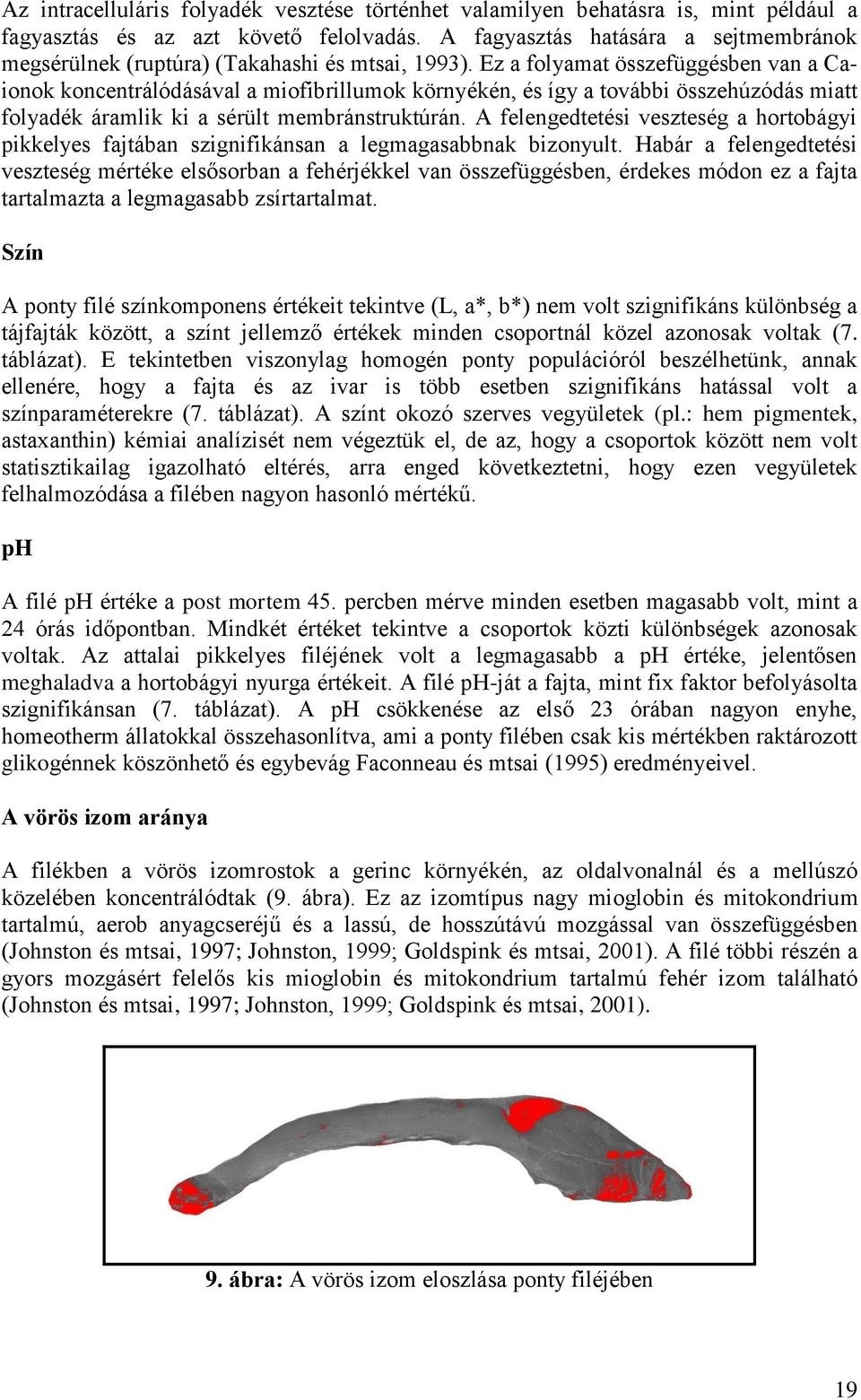 Ez a folyamat összefüggésben van a Caionok koncentrálódásával a miofibrillumok környékén, és így a további összehúzódás miatt folyadék áramlik ki a sérült membránstruktúrán.