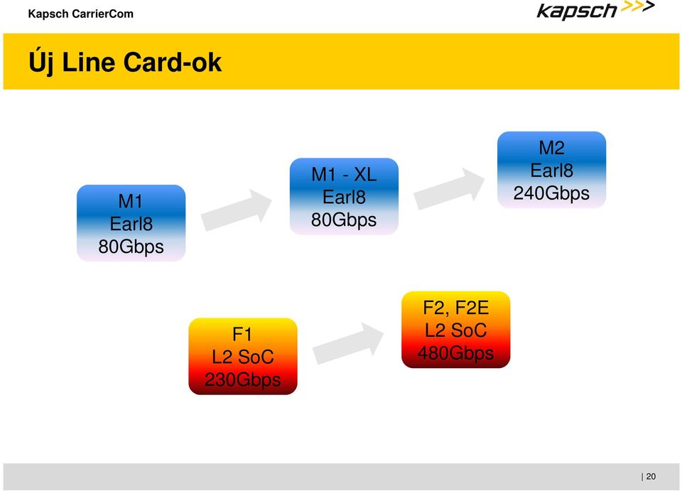 M2 Earl8 240Gbps F1 L2 SoC