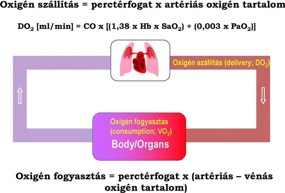 szállítás (delivery; DO 2 ) Oxigén fogyasztás (consumption; VO 2 )