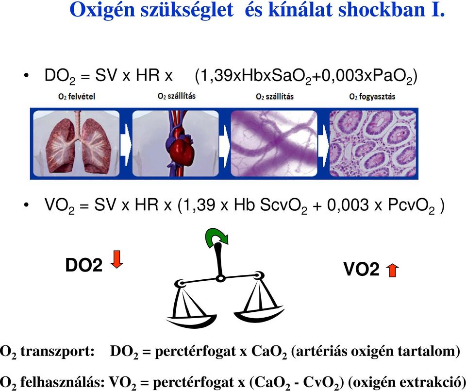 Hb ScvO 2 + 0,003 x PcvO 2 ) DO2 VO2 O 2 transzport: DO 2 = perctérfogat