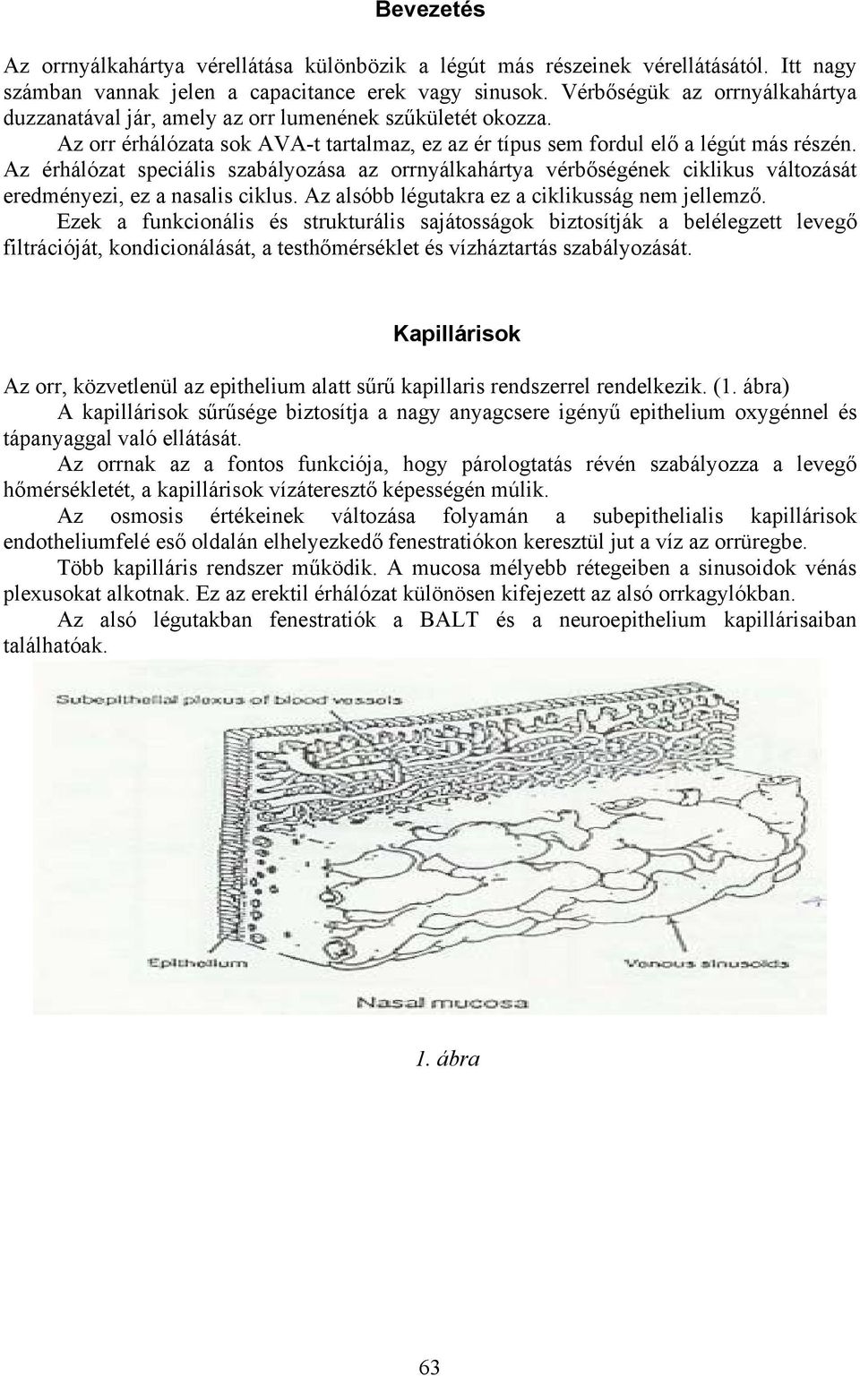 Az érhálózat speciális szabályozása az orrnyálkahártya vérbőségének ciklikus változását eredményezi, ez a nasalis ciklus. Az alsóbb légutakra ez a ciklikusság nem jellemző.