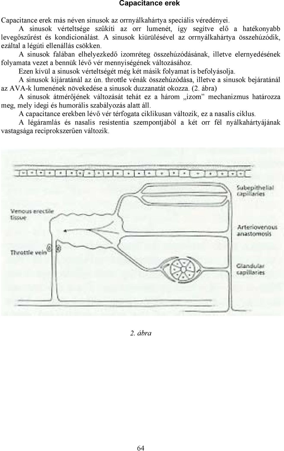 A sinusok kiürülésével az orrnyálkahártya összehúzódik, ezáltal a légúti ellenállás csökken.