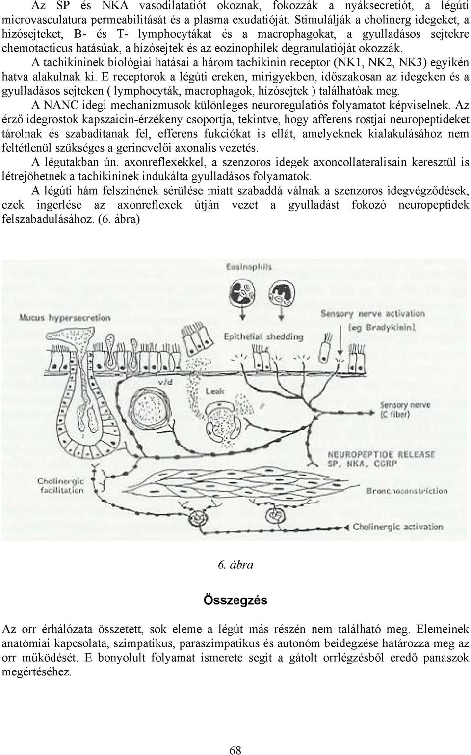 A tachikininek biológiai hatásai a három tachikinin receptor (NK1, NK2, NK3) egyikén hatva alakulnak ki.