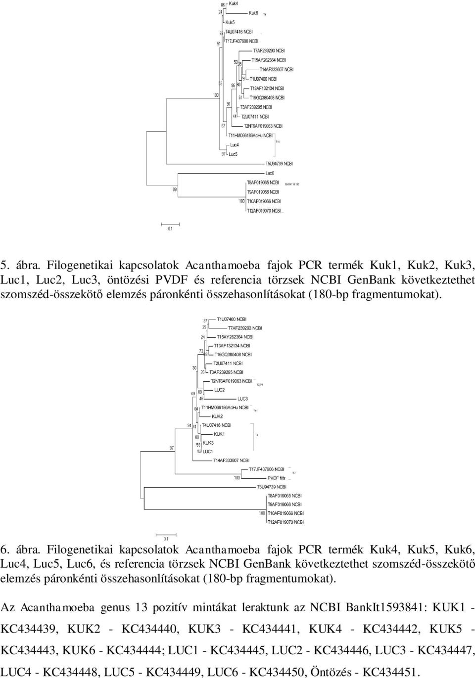 összehasonlításokat (180-bp fragmentumokat). 6. ábra.