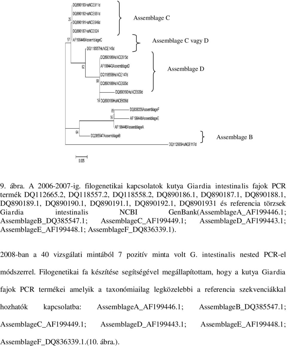 1; AssemblageC_AF199449.1; AssemblageD_AF199443.1; AssemblageE_AF199448.1; AssemblageF_DQ836339.1). 2008-ban a 40 vizsgálati mintából 7 pozitív minta volt G. intestinalis nested PCR-el módszerrel.