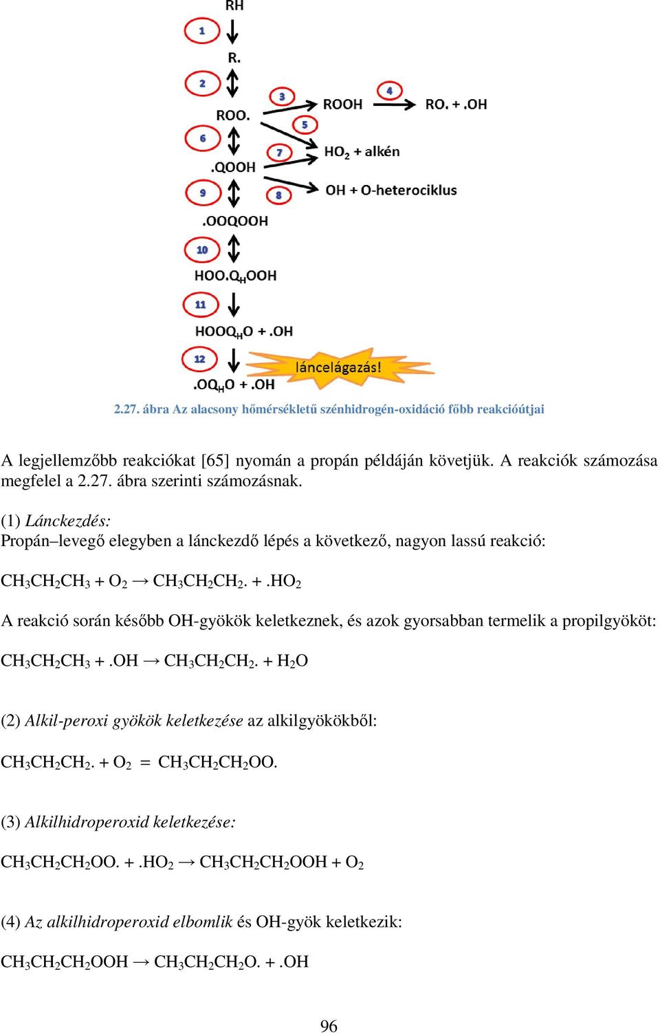 O 2 CH 3 CH 2 CH 2. +.HO 2 A reakció során később OH-gyökök keletkeznek, és azok gyorsabban termelik a propilgyököt: CH 3 CH 2 CH 3 +.OH CH 3 CH 2 CH 2.