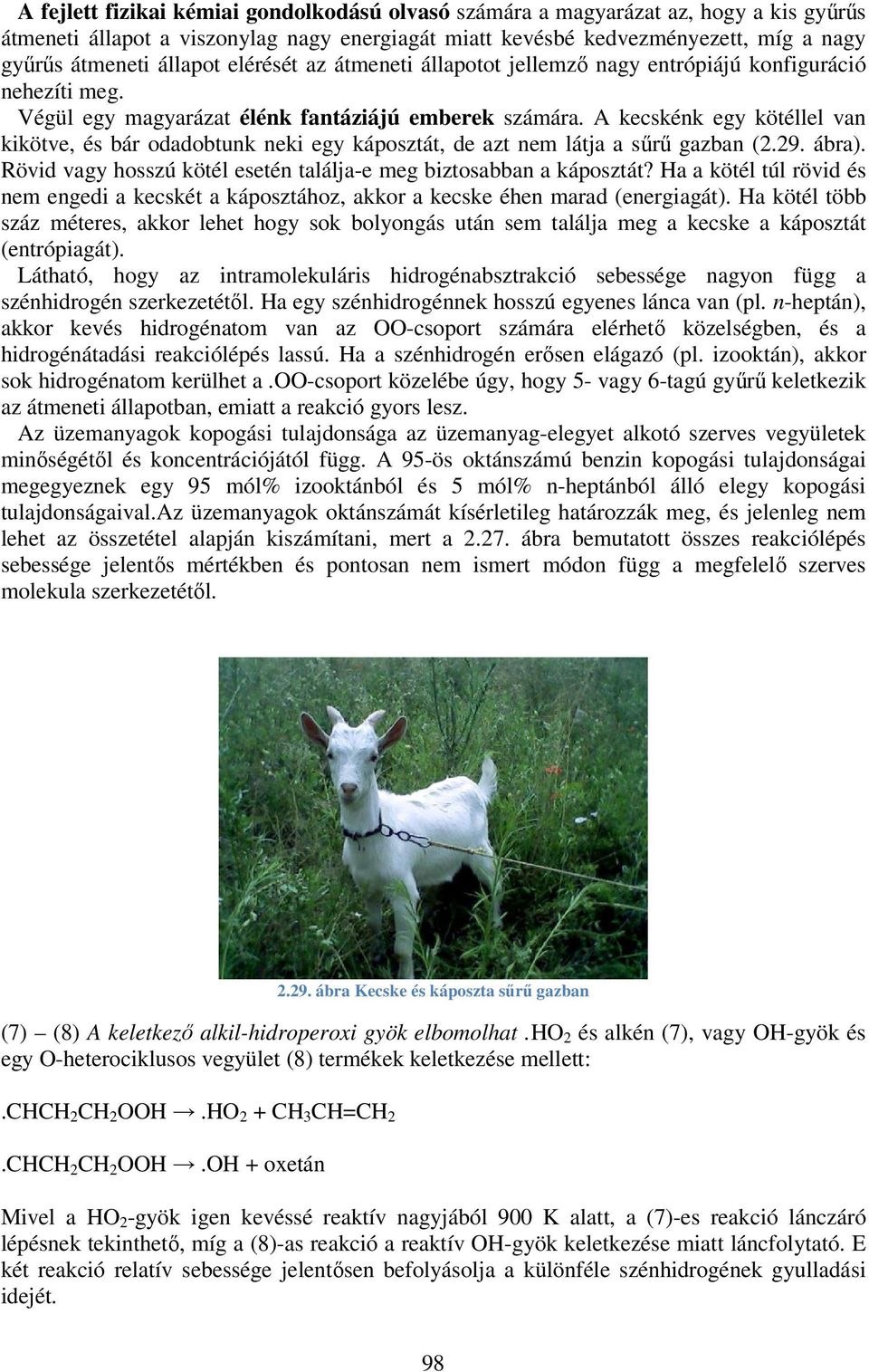 A kecskénk egy kötéllel van kikötve, és bár odadobtunk neki egy káposztát, de azt nem látja a sűrű gazban (2.29. ábra). Rövid vagy hosszú kötél esetén találja-e meg biztosabban a káposztát?