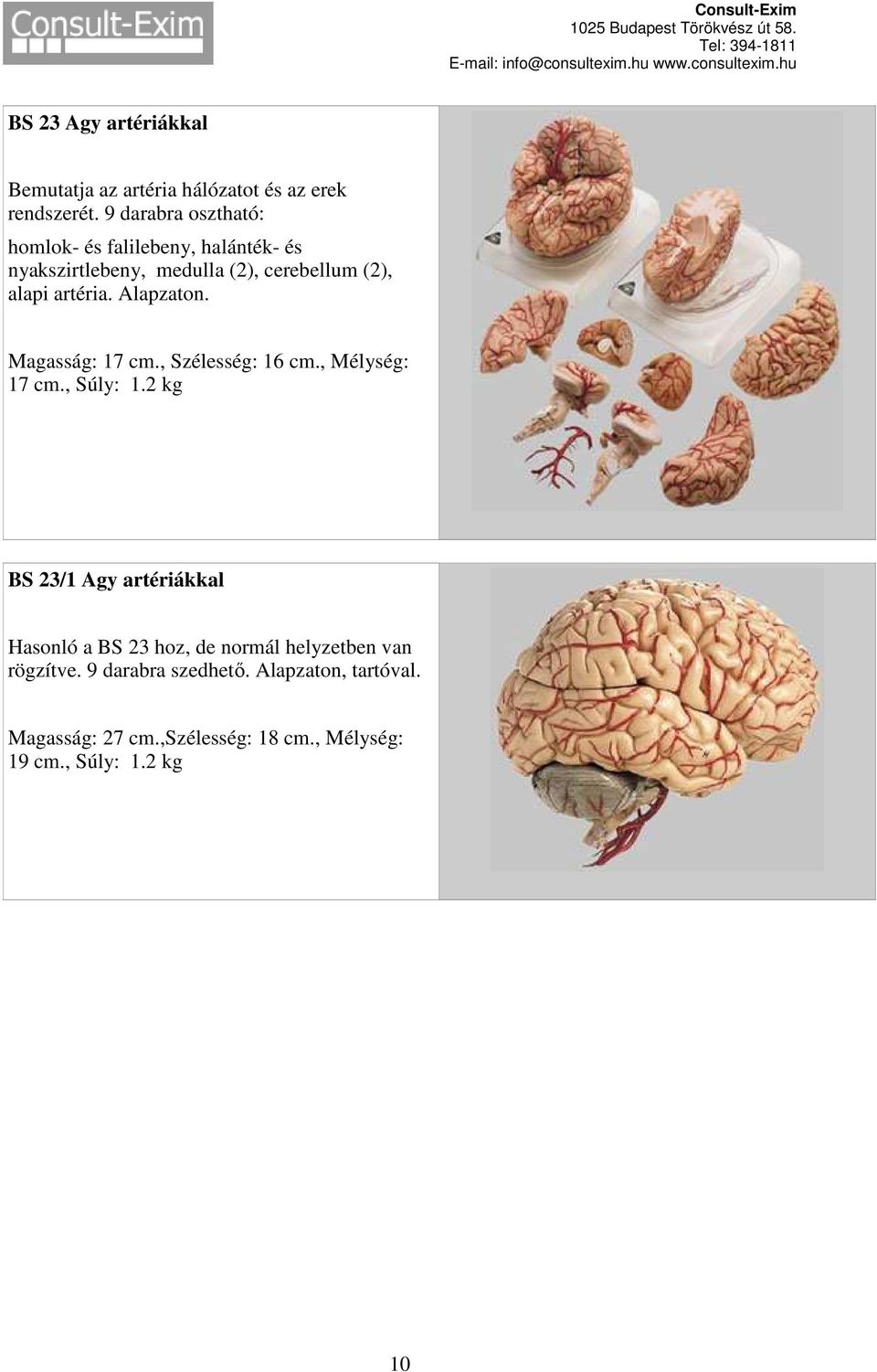 artéria. Alapzaton. Magasság: 17 cm., Szélesség: 16 cm., Mélység: 17 cm., Súly: 1.