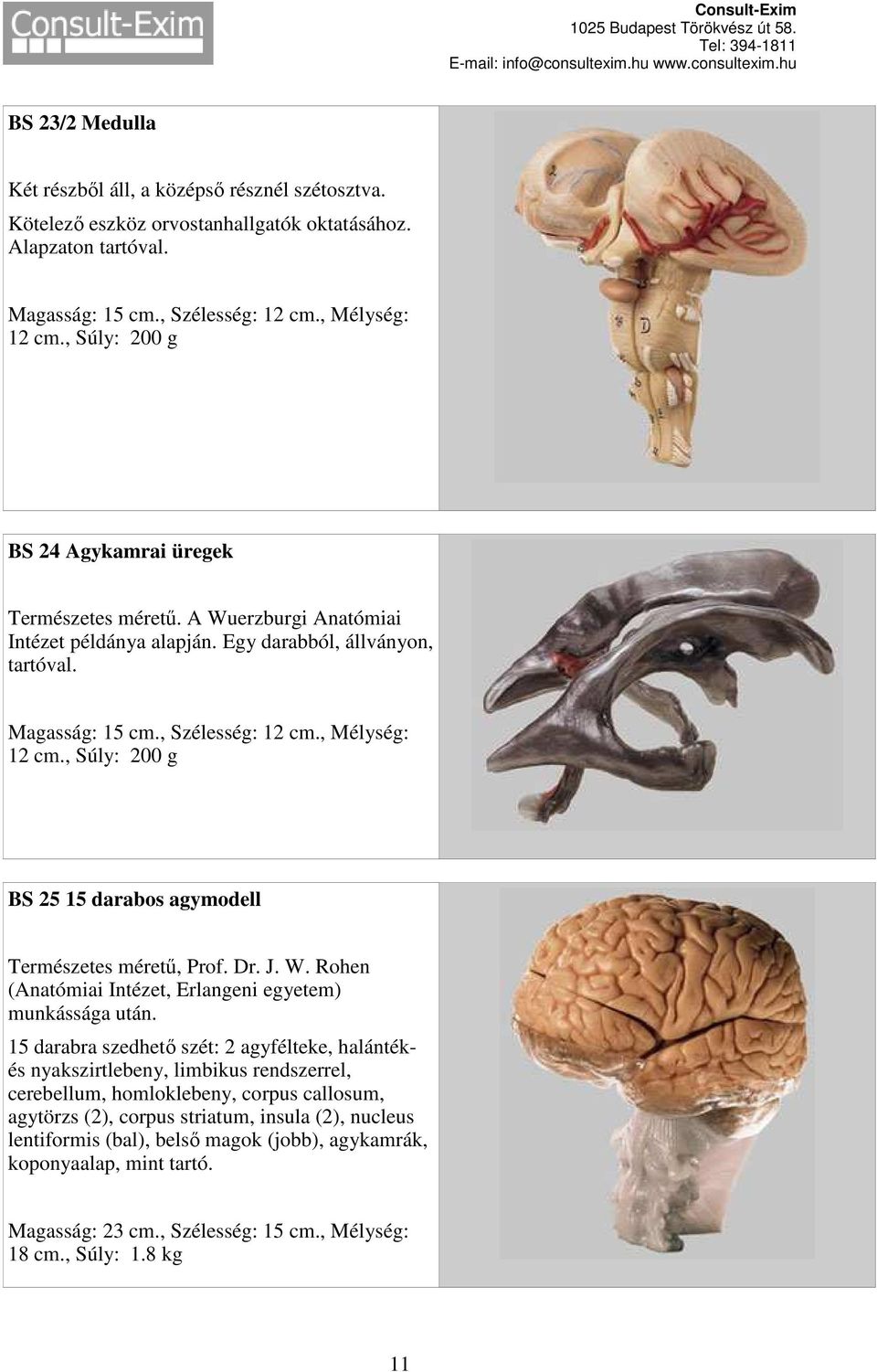 , Súly: 200 g BS 25 15 darabos agymodell Természetes méretű, Prof. Dr. J. W. Rohen (Anatómiai Intézet, Erlangeni egyetem) munkássága után.