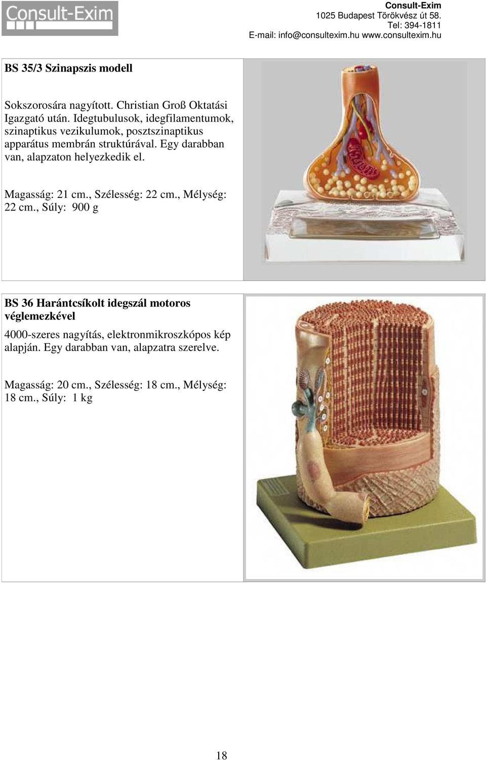 Egy darabban van, alapzaton helyezkedik el. Magasság: 21 cm., Szélesség: 22 cm., Mélység: 22 cm.