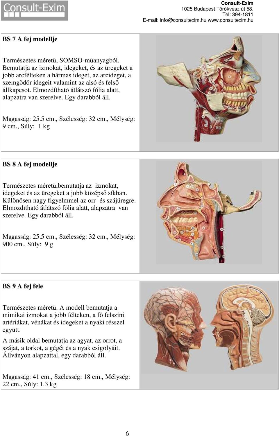 Elmozdítható átlátszó fólia alatt, alapzatra van szerelve. Egy darabból áll. Magasság: 25.5 cm., Szélesség: 32 cm., Mélység: 9 cm.