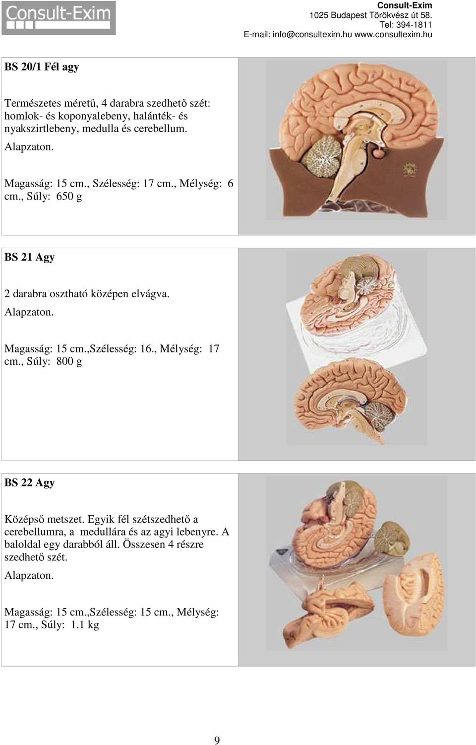 Magasság: 15 cm.,szélesség: 16., Mélység: 17 cm., Súly: 800 g BS 22 Agy Középső metszet.