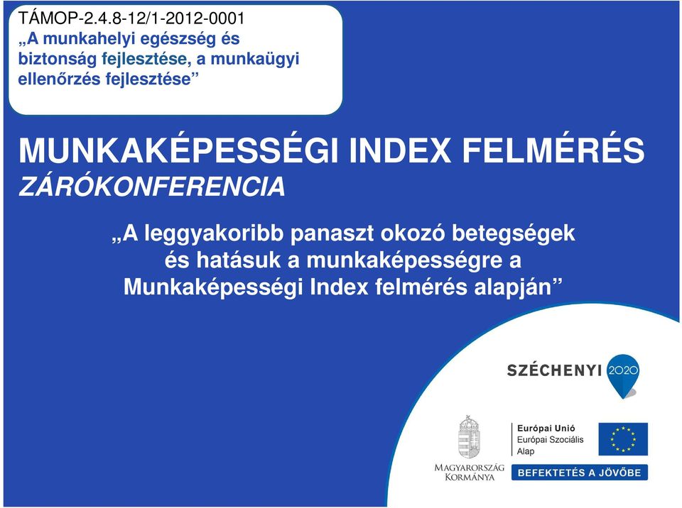 a munkaügyi ellenőrzés fejlesztése MUNKAKÉPESSÉGI INDEX FELMÉRÉS