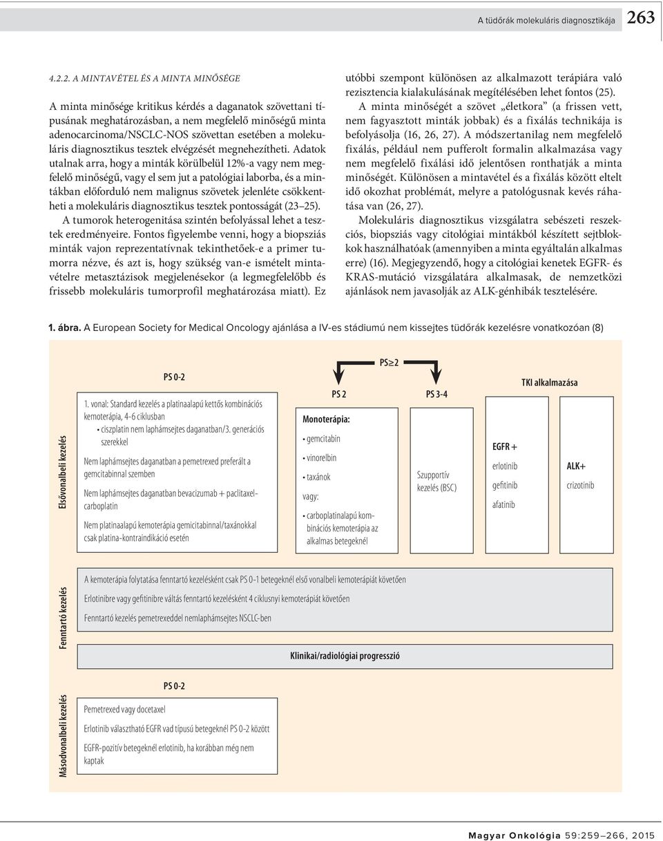 2. A MINTAVÉTEL ÉS A MINTA MINŐSÉGE A minta minősége kritikus kérdés a daganatok szövettani típusának meghatározásban, a nem megfelelő minőségű minta adenocarcinoma/nsclc-nos szövettan esetében a