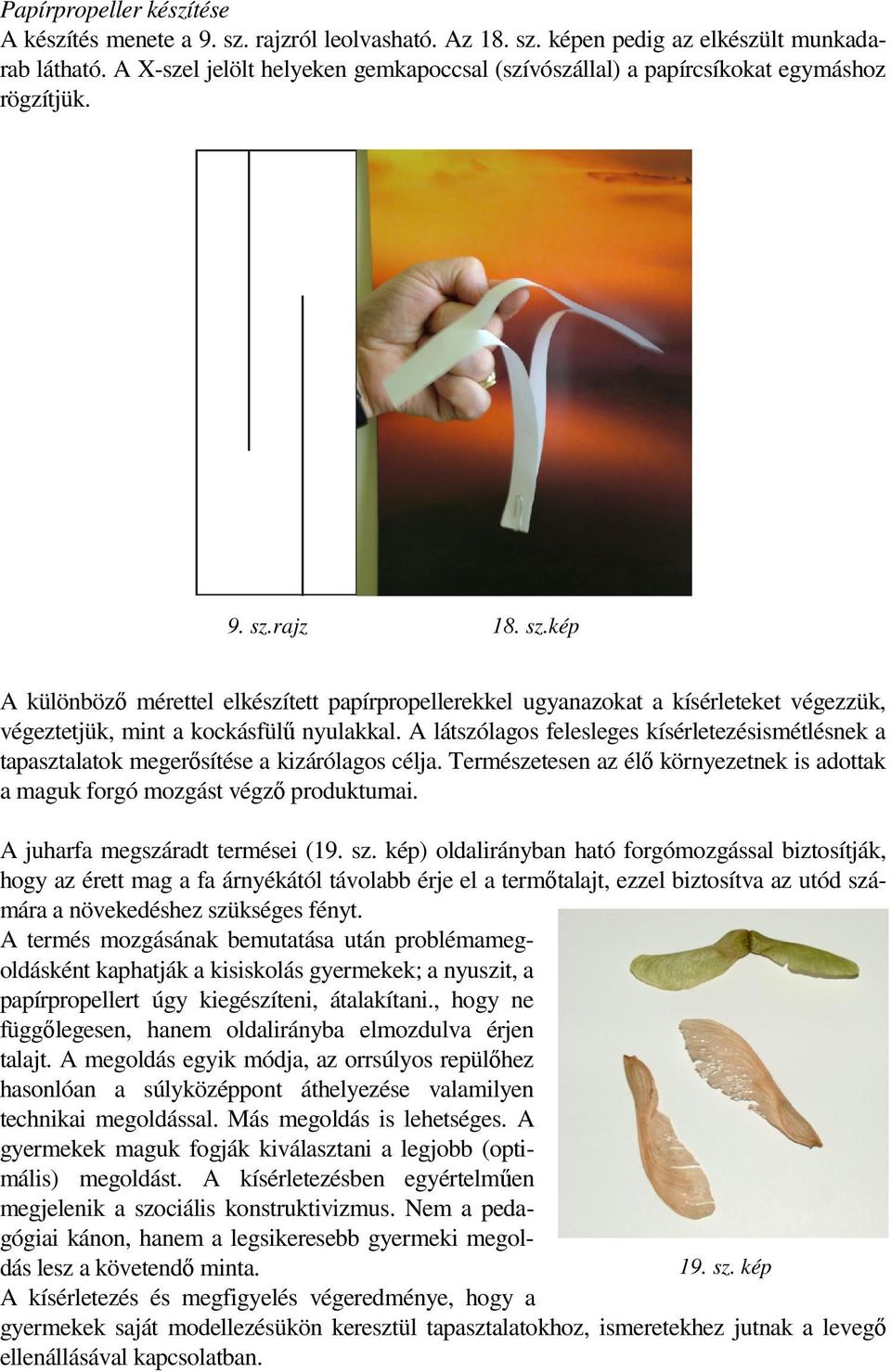 rajz 18. sz.kép A különbözı mérettel elkészített papírpropellerekkel ugyanazokat a kísérleteket végezzük, végeztetjük, mint a kockásfülő nyulakkal.